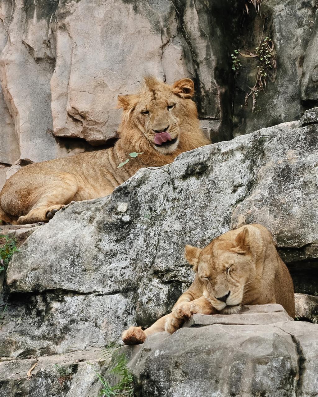 Prise de conscience du phénomène « Influenceur »&nbsp;?